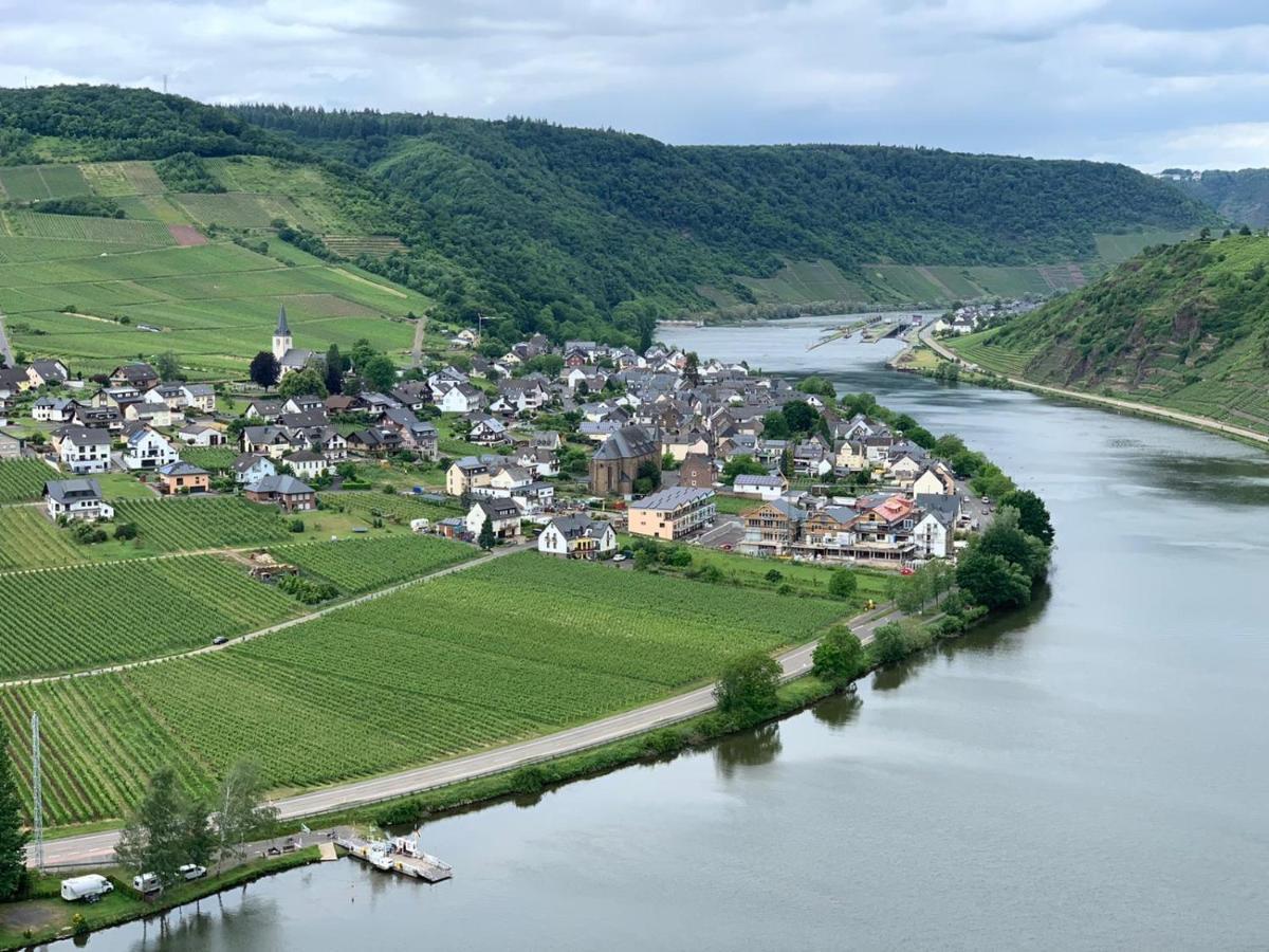 Appartamento Weingut Im Moselkrampen Ellenz-Poltersdorf Esterno foto
