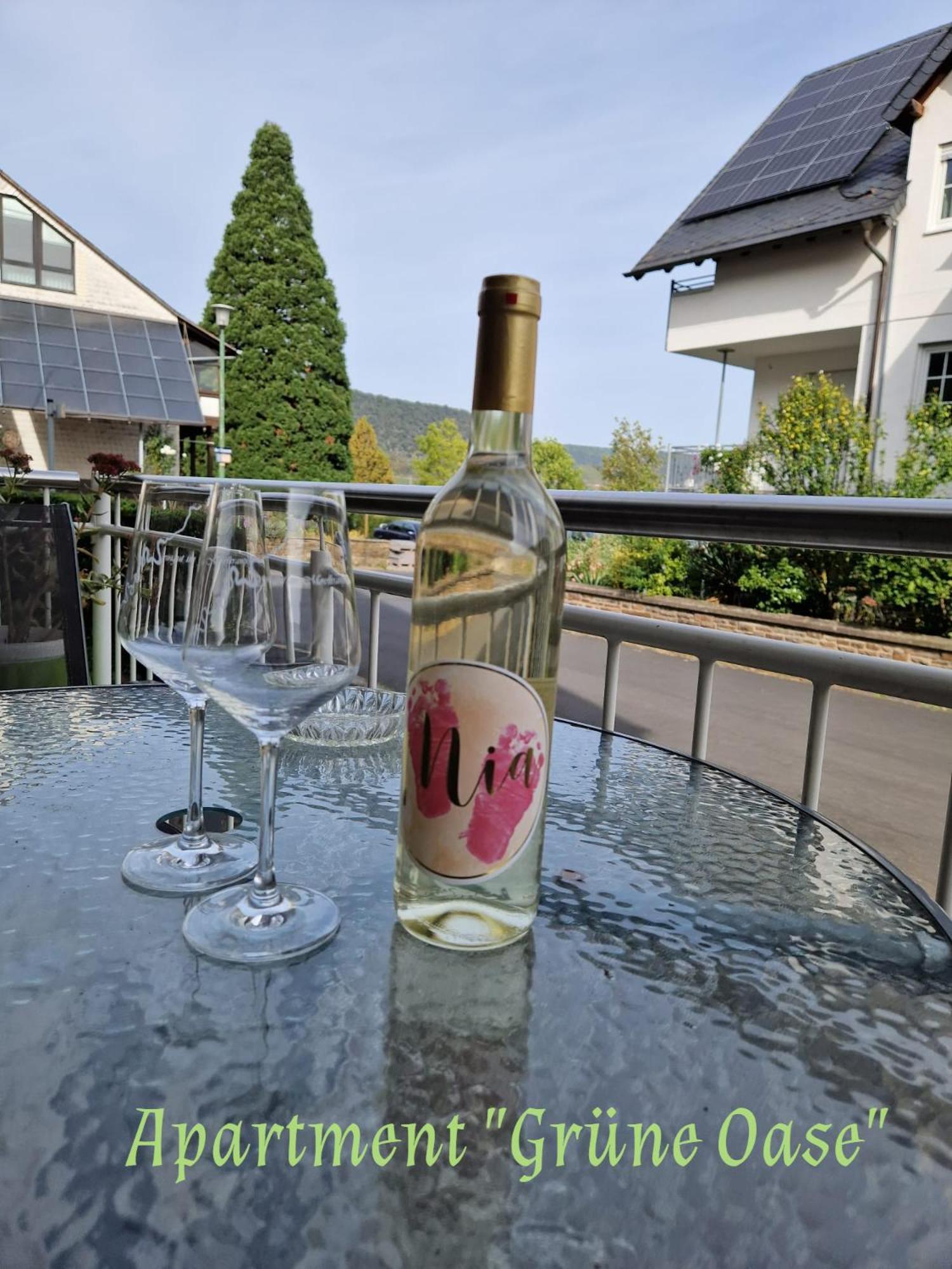 Appartamento Weingut Im Moselkrampen Ellenz-Poltersdorf Esterno foto